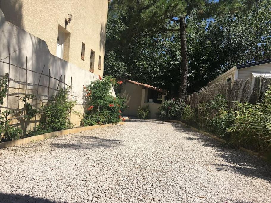 Marseillan Plage Studio Independant מראה חיצוני תמונה